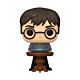 Funko Pop Plus Harry Potter with Pensieve (9500 Pcs)