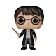 Funko Pop Movies Harry Potter: Harry Potter