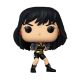Funko Pop: Wonder Woman 80th - Wonder Woman (The Contest) 